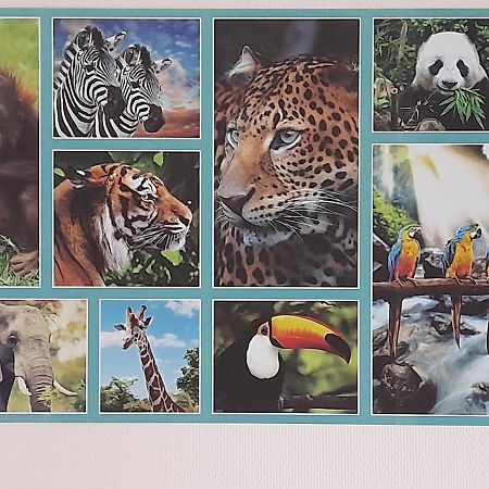 주아니 Animalier 아파트 외부 사진