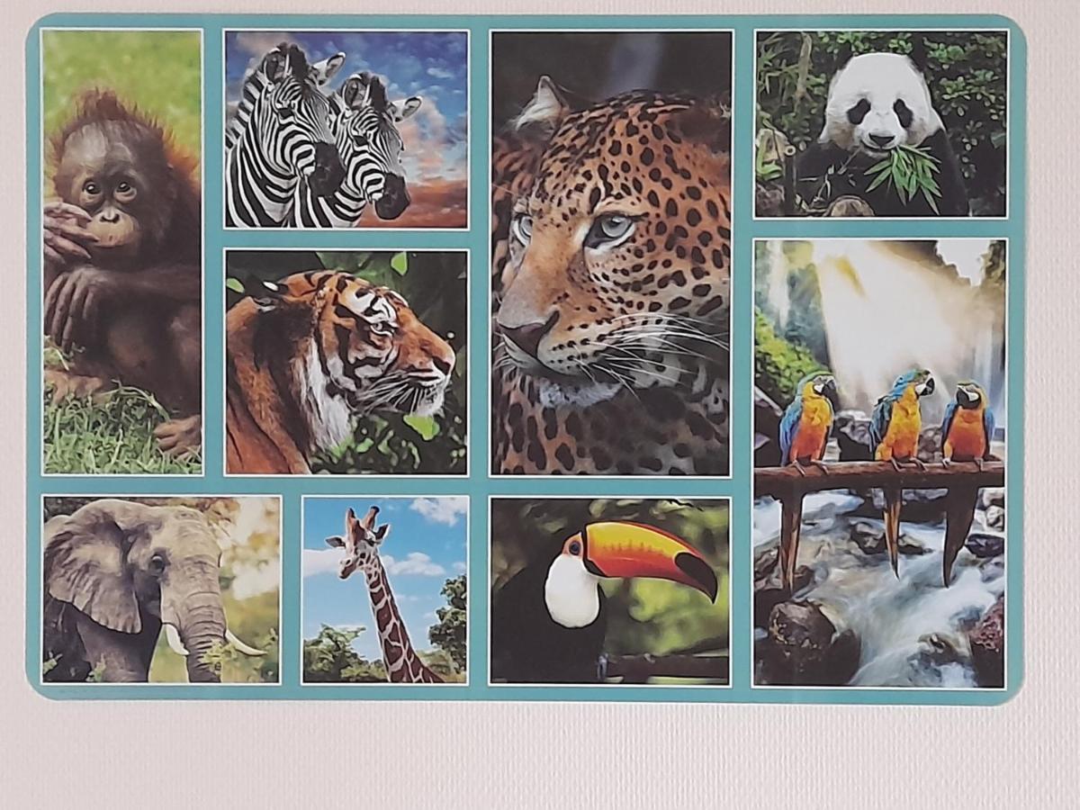 주아니 Animalier 아파트 외부 사진